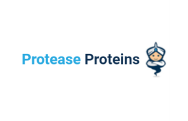 Proteases Recombinant Proteins